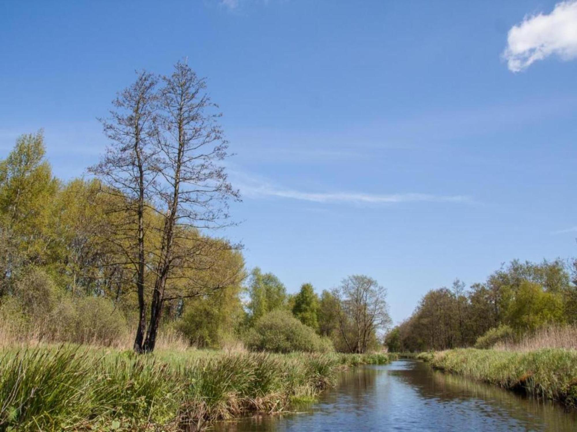Luxury Docklodge On The Water Delfstrahuizen Bagian luar foto